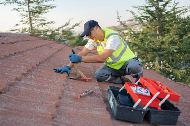 Professional Roofing Contractor in East Lake Orient Park, FL