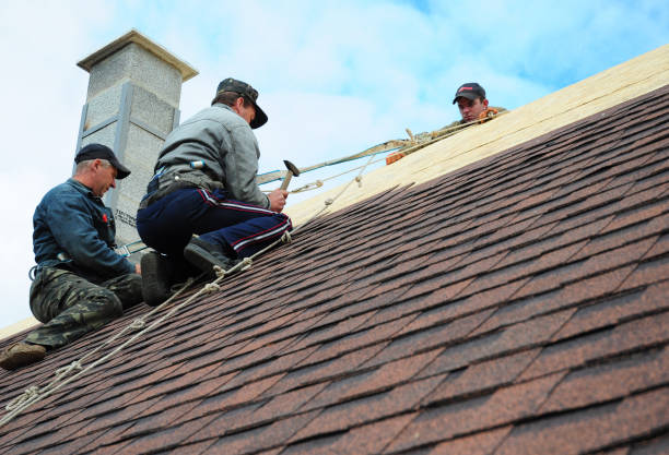 Tile Roofing Contractor in East Lake Orient Park, FL
