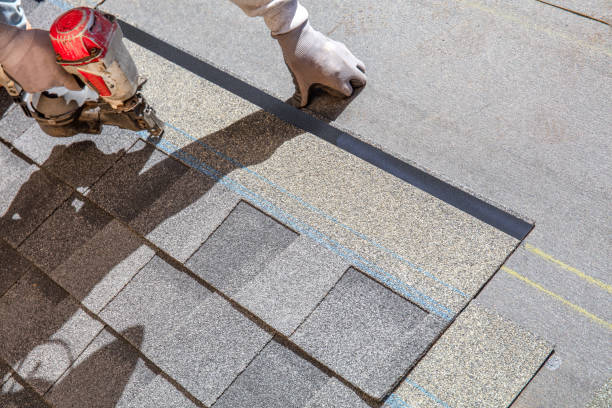 Roof Waterproofing Services in East Lake Orient Park, FL