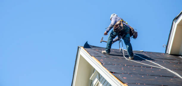 Best Flat Roof Repair Services  in East Lake Orient Park, FL